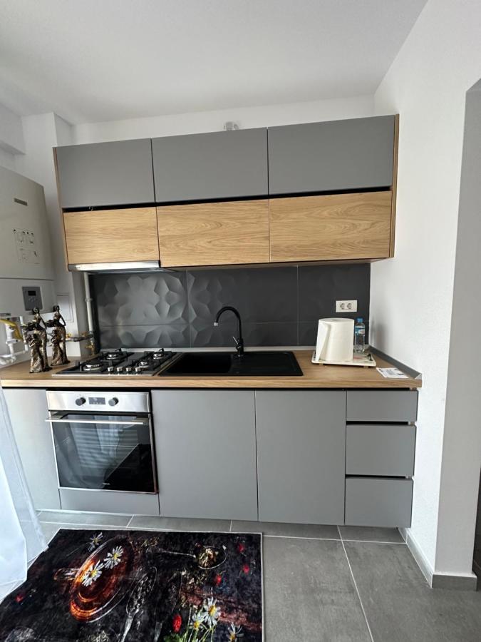 Apartamente Arinis Gura Humorului Exterior foto